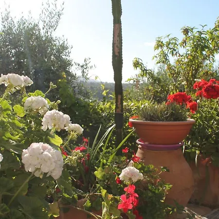 Ferienhaus Costa Grande *