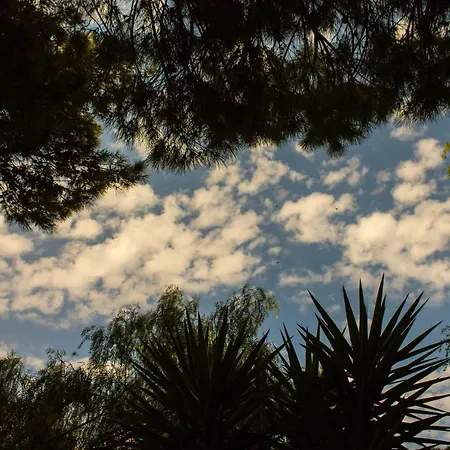 Costa Grande *